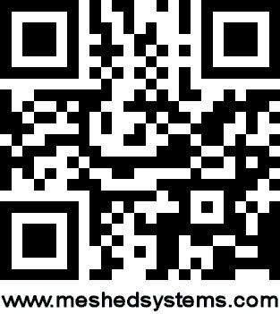 MS QR Code